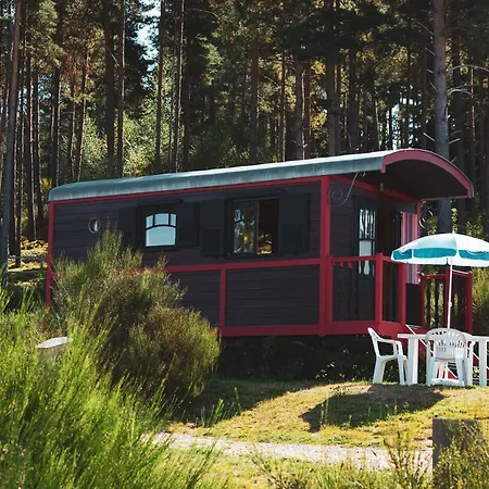 Semesteranläggning (resort) Les Du Haut-forez Usson-en-Forez