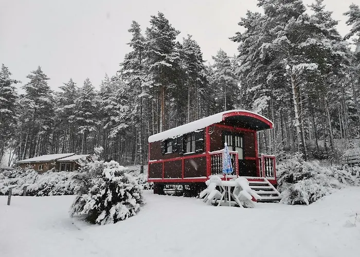Les Du Haut-forez 3* Usson-en-Forez