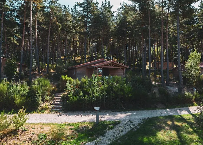 Resort Les Du Haut-forez 3*